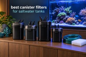 best canister filters for saltwater tanks