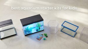 best aquarium starter kits for kids