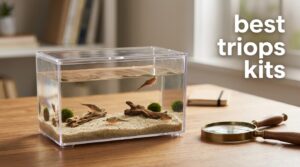 best triops kits